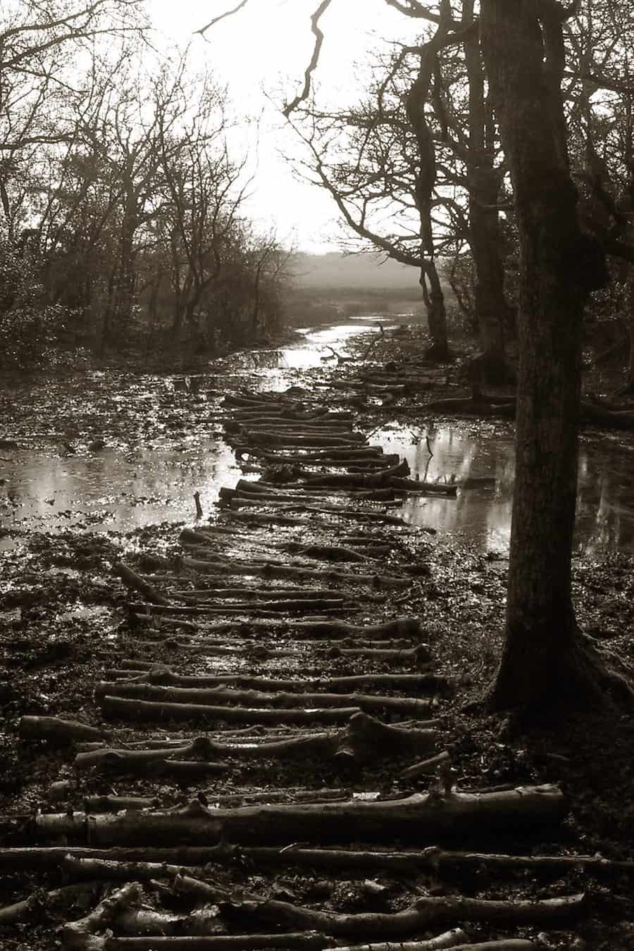 Der Dienstweg ist der Holzweg!