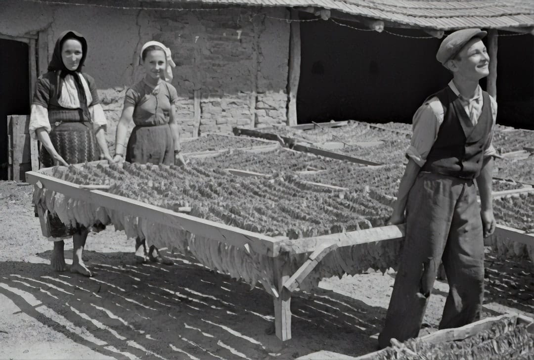 Photo Factory relocation