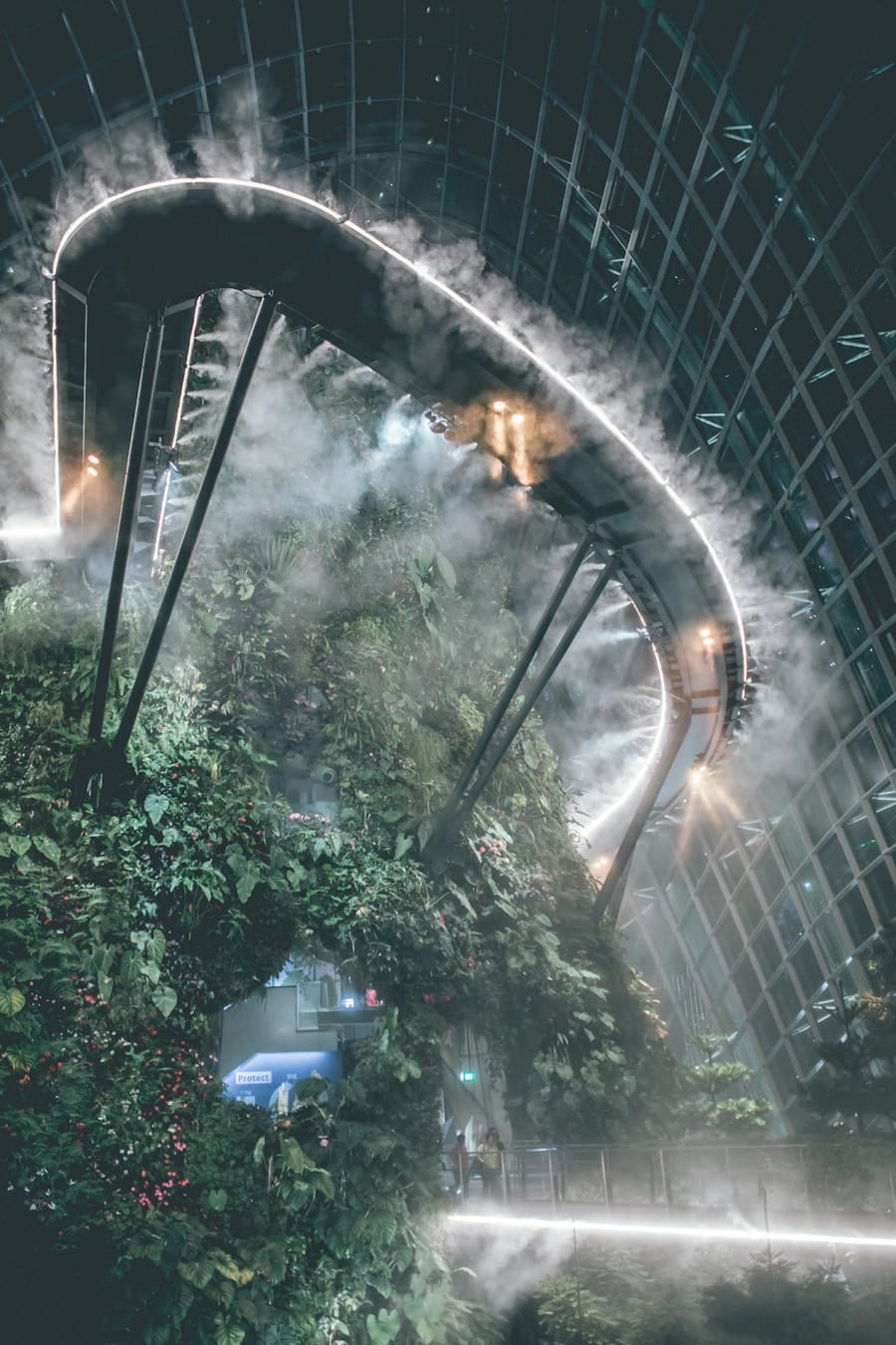 Photo expedition into the future