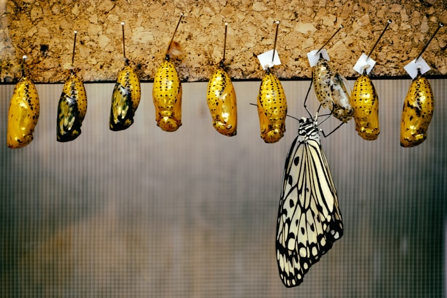 Photo “Why Most Transformation Initiatives Fail — And How You Can Ensure Yours Doesn’t”