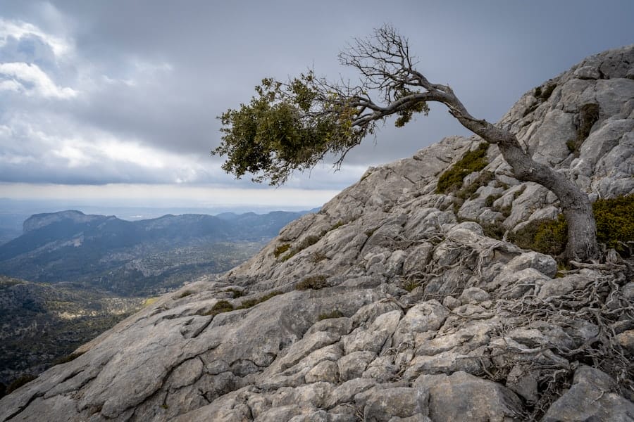Photo Resilience