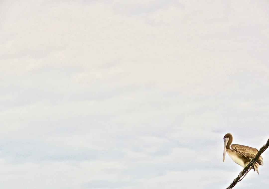Photo motivationstrainer