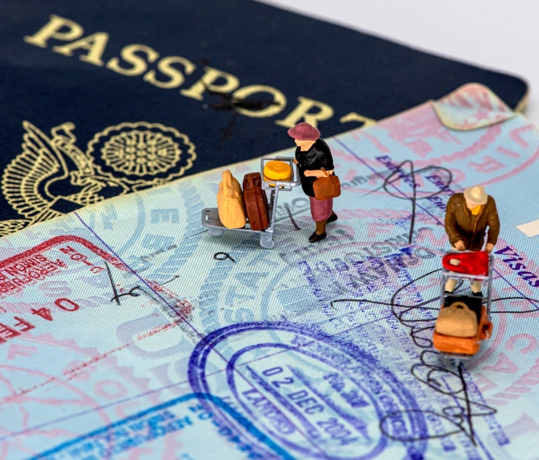 Photo legal aspects of emigration