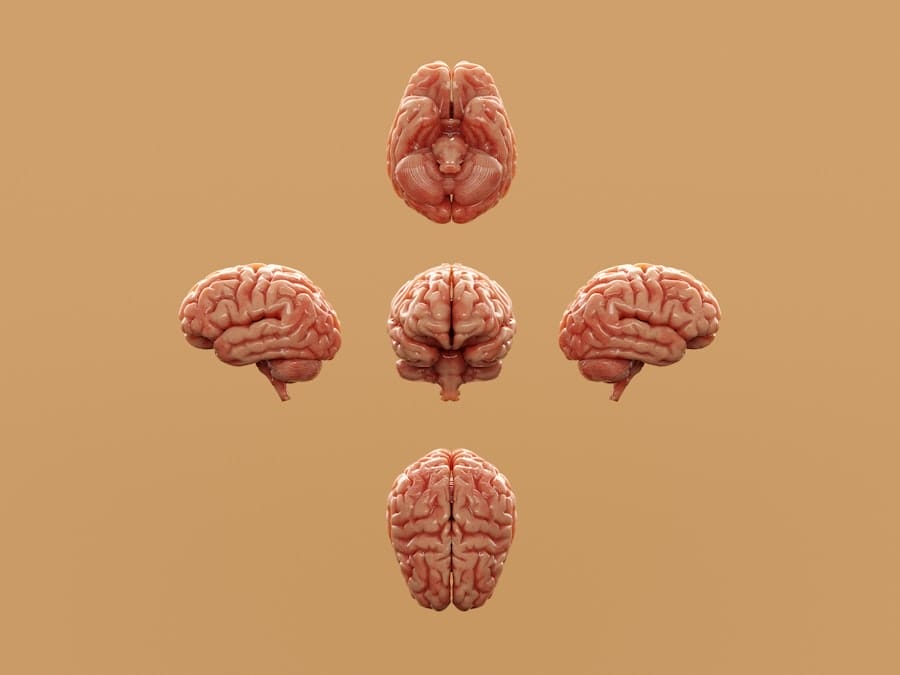Photo psychology fundamentals